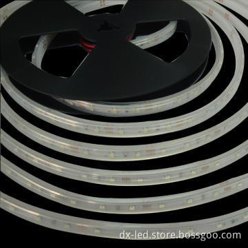 SMD3528 LED Flexible Strip Light with CE, RoHS Approved
